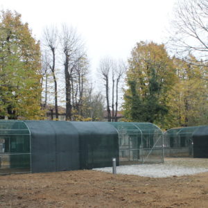 Voliera Grandi Strutture 5-6 × 12 m