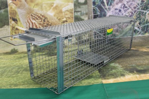 GABBIA CAT-TRAP