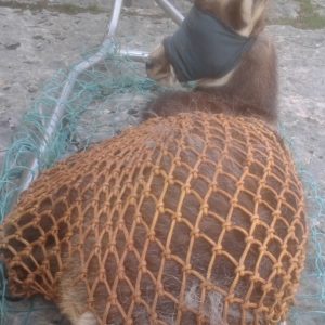 Rete di contenimento/imbragatura in Nylon morbido